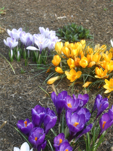 DSCN2398.jpg