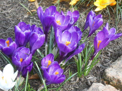 DSCN2399.jpg