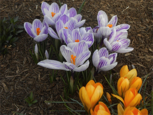 DSCN2401.jpg