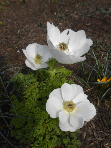 DSCN2413.jpg