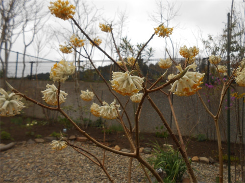 DSCN2419.jpg