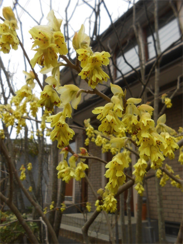 DSCN2420.jpg