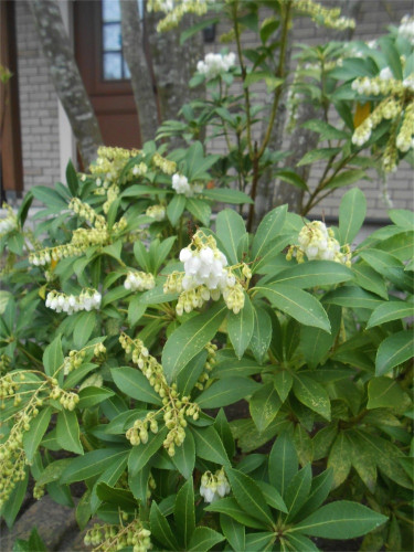 DSCN2423.jpg