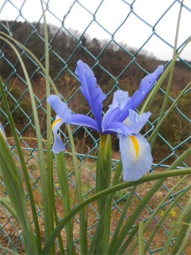 DSCN2425.jpg