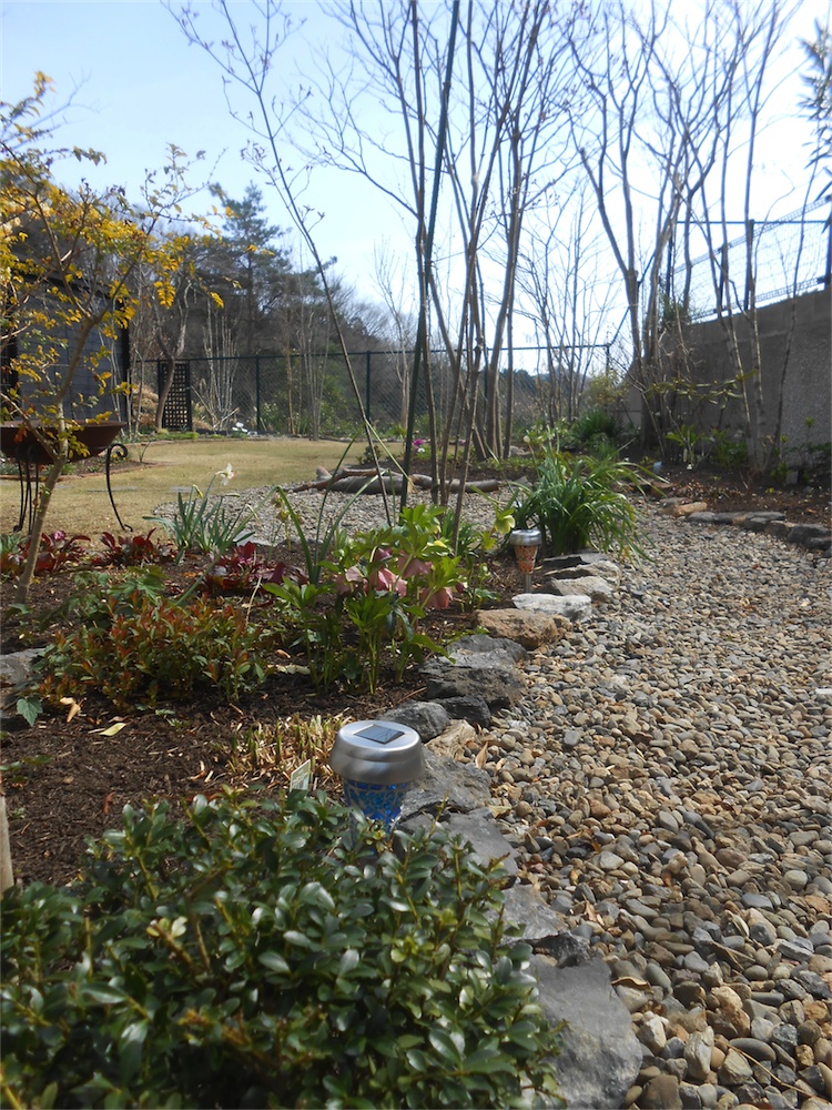 DSCN2409.jpg