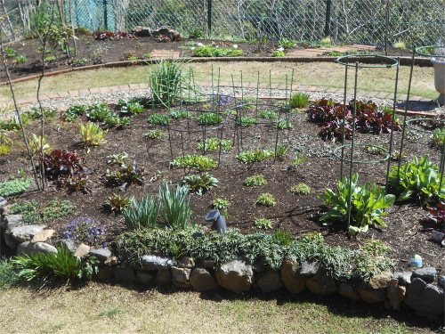 DSCN2428.jpg