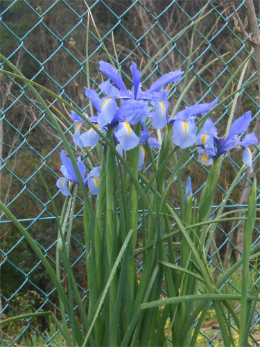 DSCN2436.jpg