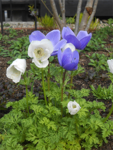 DSCN2448.jpg