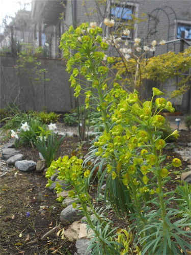 DSCN2445.jpg