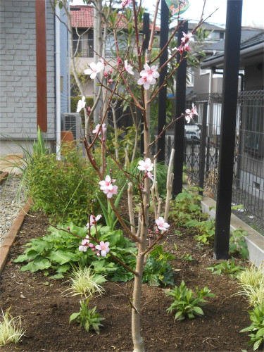 DSCN2450.jpg
