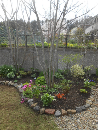 DSCN2452.jpg