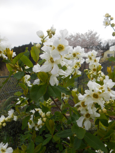 DSCN2455.JPG