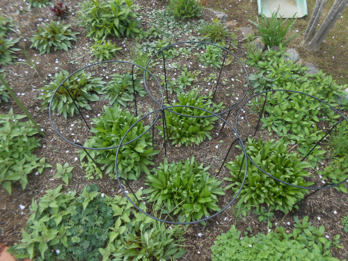 DSCN2456.JPG