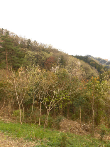 DSCN2458.JPG