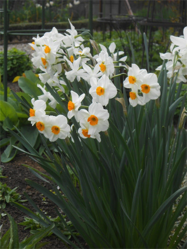 DSCN2461.jpg