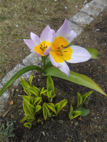 DSCN2462.jpg