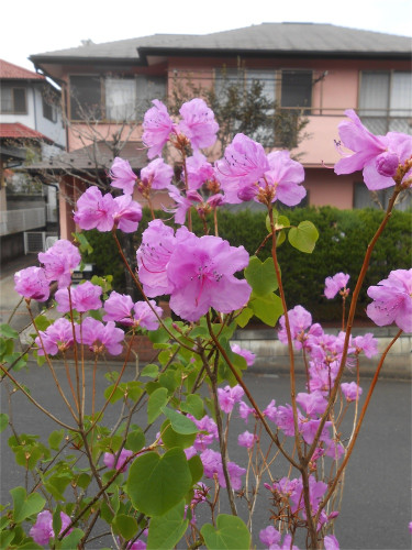 DSCN2463.jpg