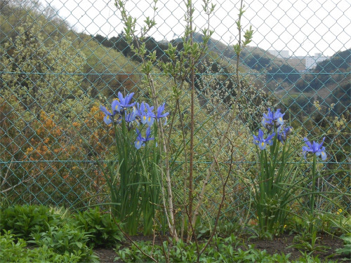 DSCN2472.jpg