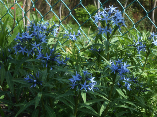 DSCN2479.jpg
