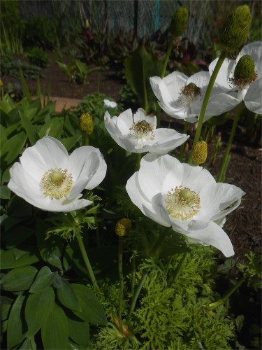 DSCN2482.jpg