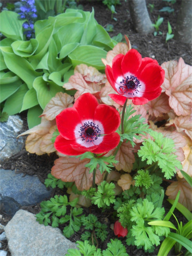DSCN2498.jpg