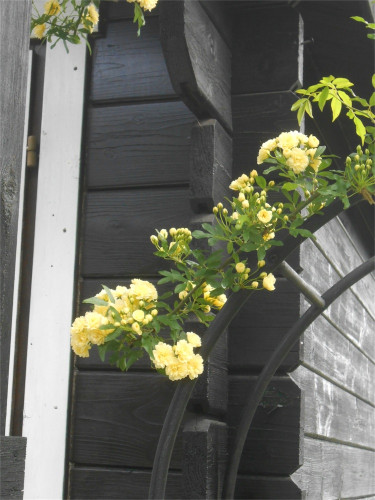 DSCN2501.jpg
