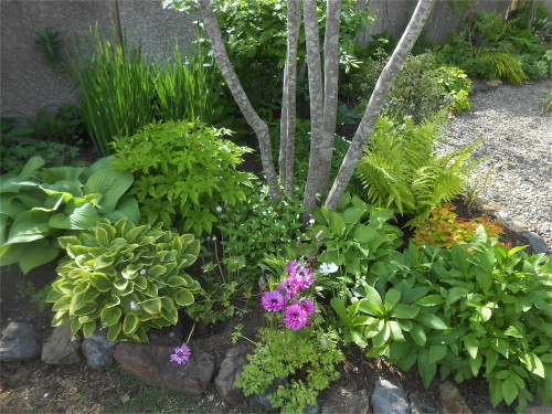 DSCN2507.jpg
