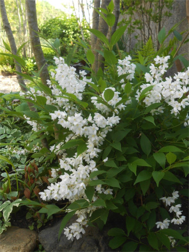 DSCN2515.jpg