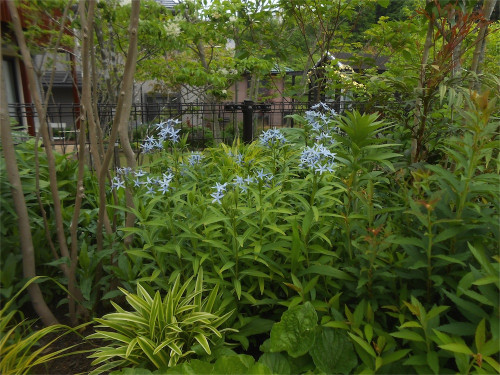 DSCN2524.jpg