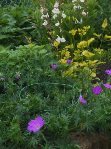 DSCN2531.jpg