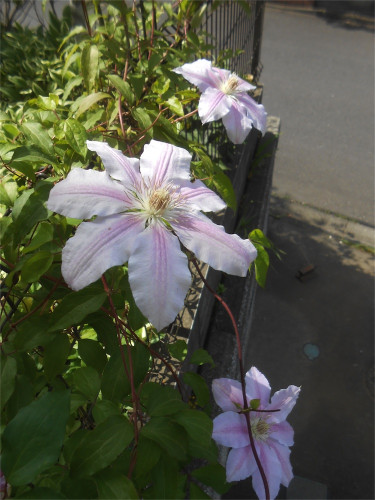 DSCN2534.jpg