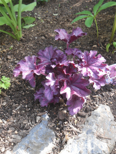 DSCN2536.jpg