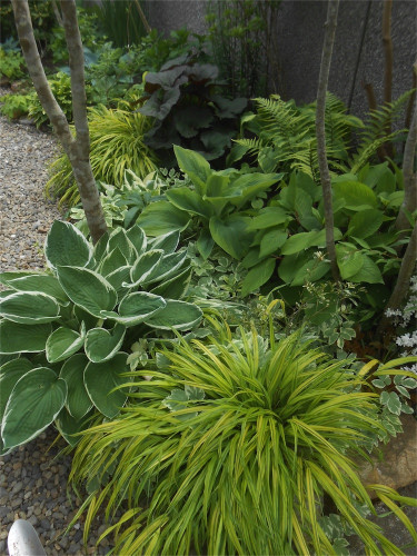 DSCN2544.jpg