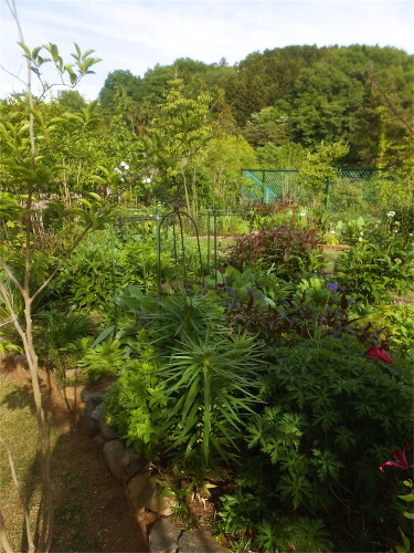 DSCN2549.jpg