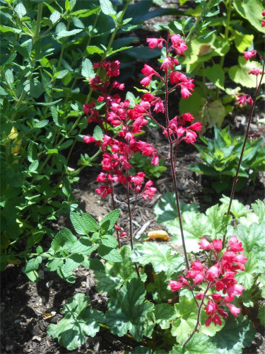 DSCN2553.jpg