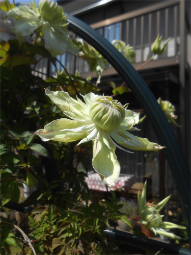 DSCN2594.jpg