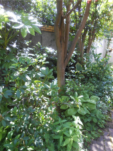 DSCN2606.jpg