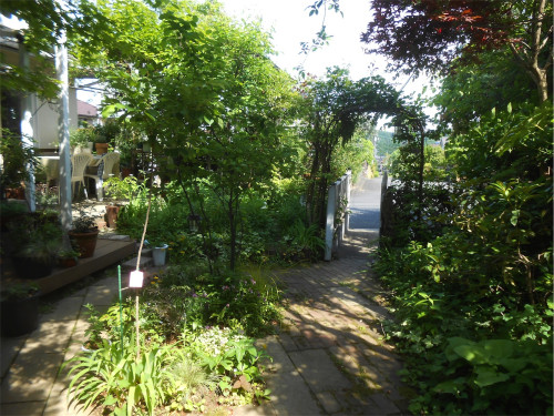 DSCN2609.jpg