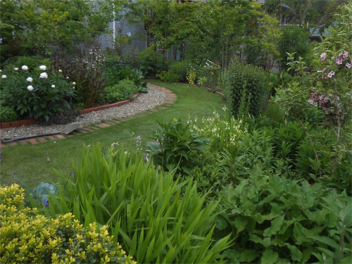 DSCN2631.jpg