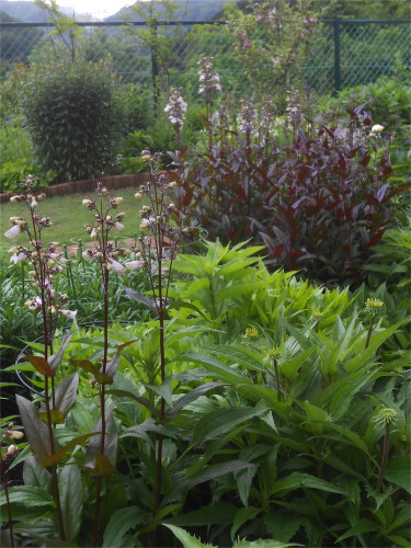 DSCN2640.jpg