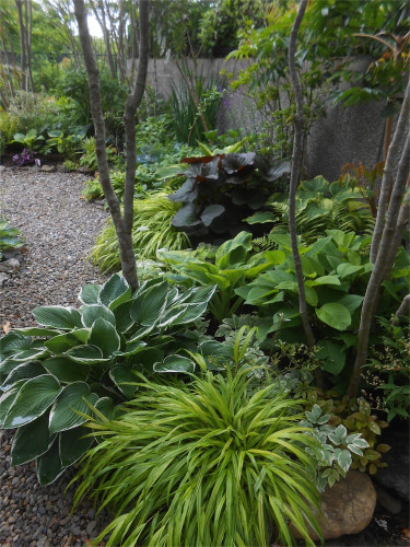DSCN2641.jpg