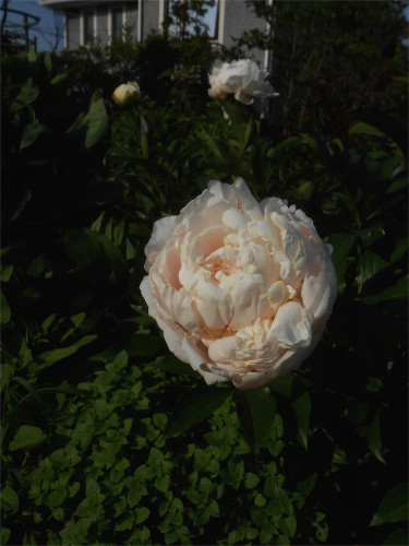 DSCN2655.jpg