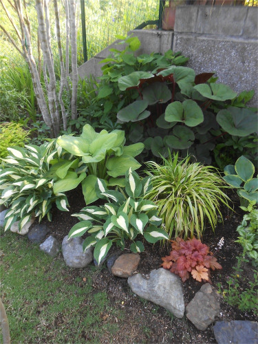 DSCN2661.jpg