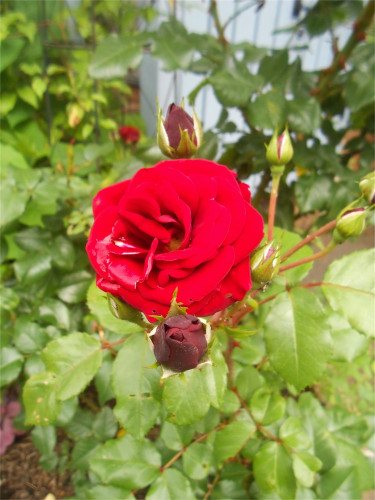 DSCN2671.jpg