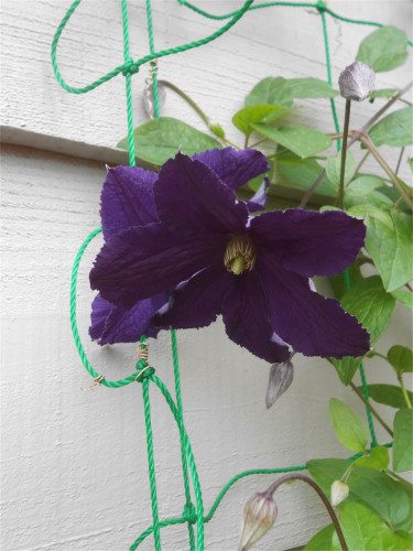 DSCN2685.jpg