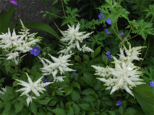 DSCN2690.jpg