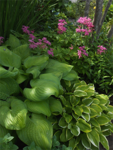 DSCN2691.jpg