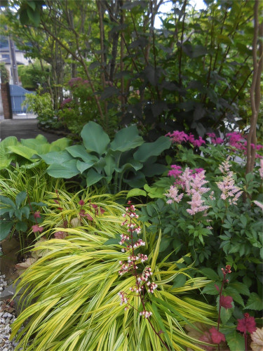 DSCN2726.jpg