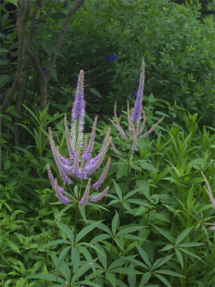 DSCN2863.jpg