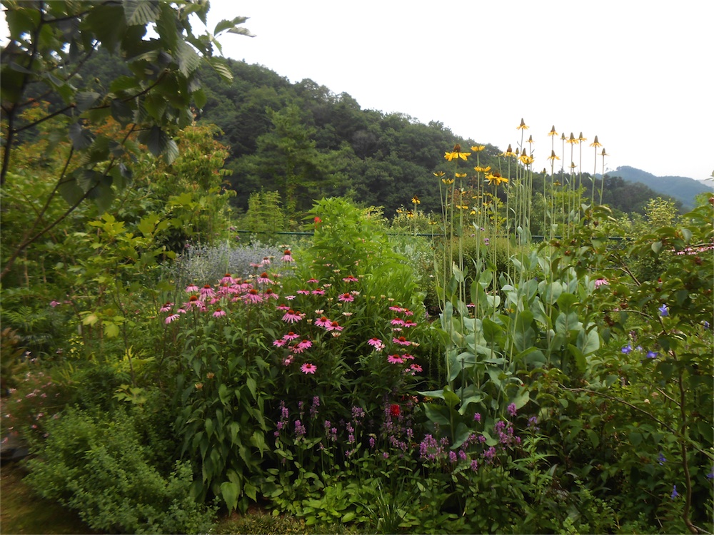 DSCN2870.jpg